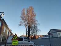 Farvel til en kjempe