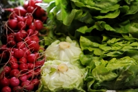 Norskproduserte reddiker og salat er kommet rekordtidlig i butikkene takket være den uventede sommervarmen i Sør-Norge.