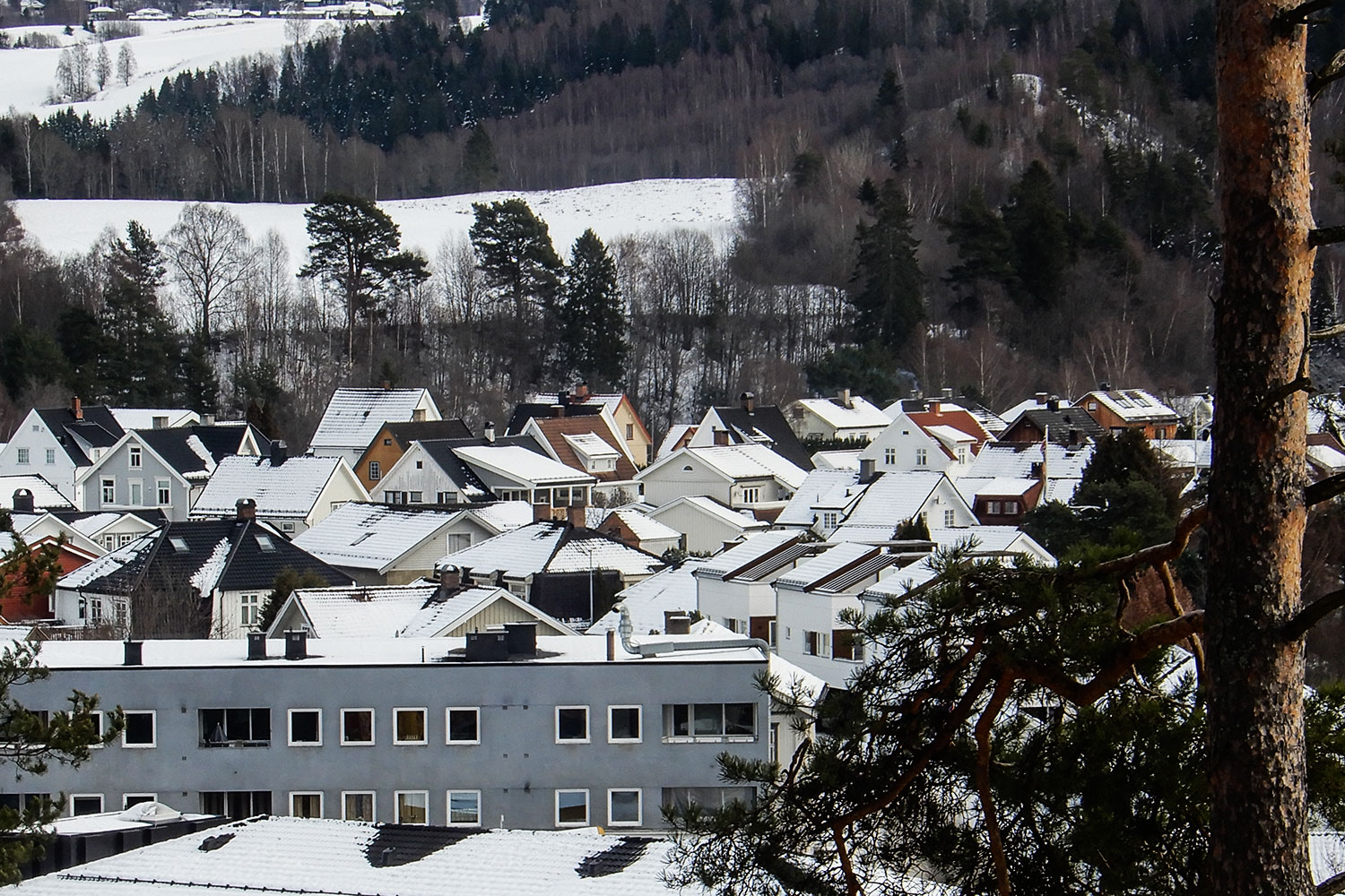 Omsetning av eiendommer i Ringerike kommune uke 13