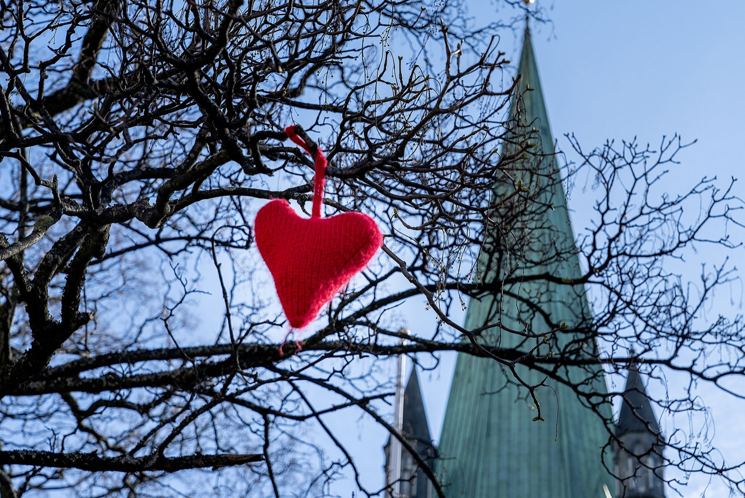 27 par giftet seg i Nidarosdomen i Trondheim på valentinsdagen lørdag.